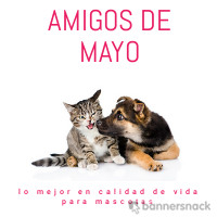 Consultar a Amigos de Mayo